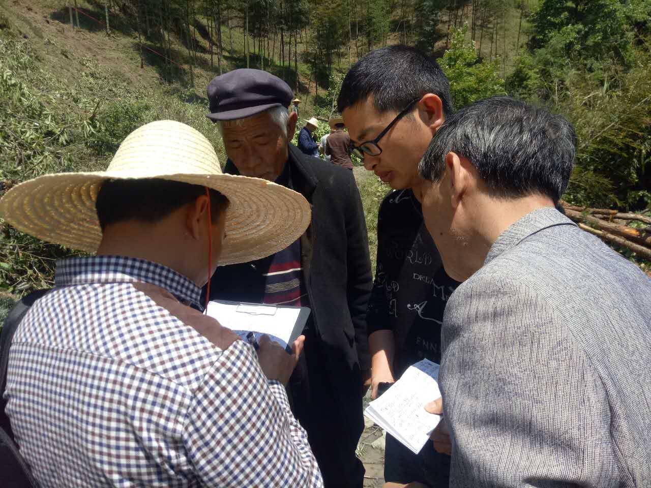 大田镇新项目，地区发展的强大引擎