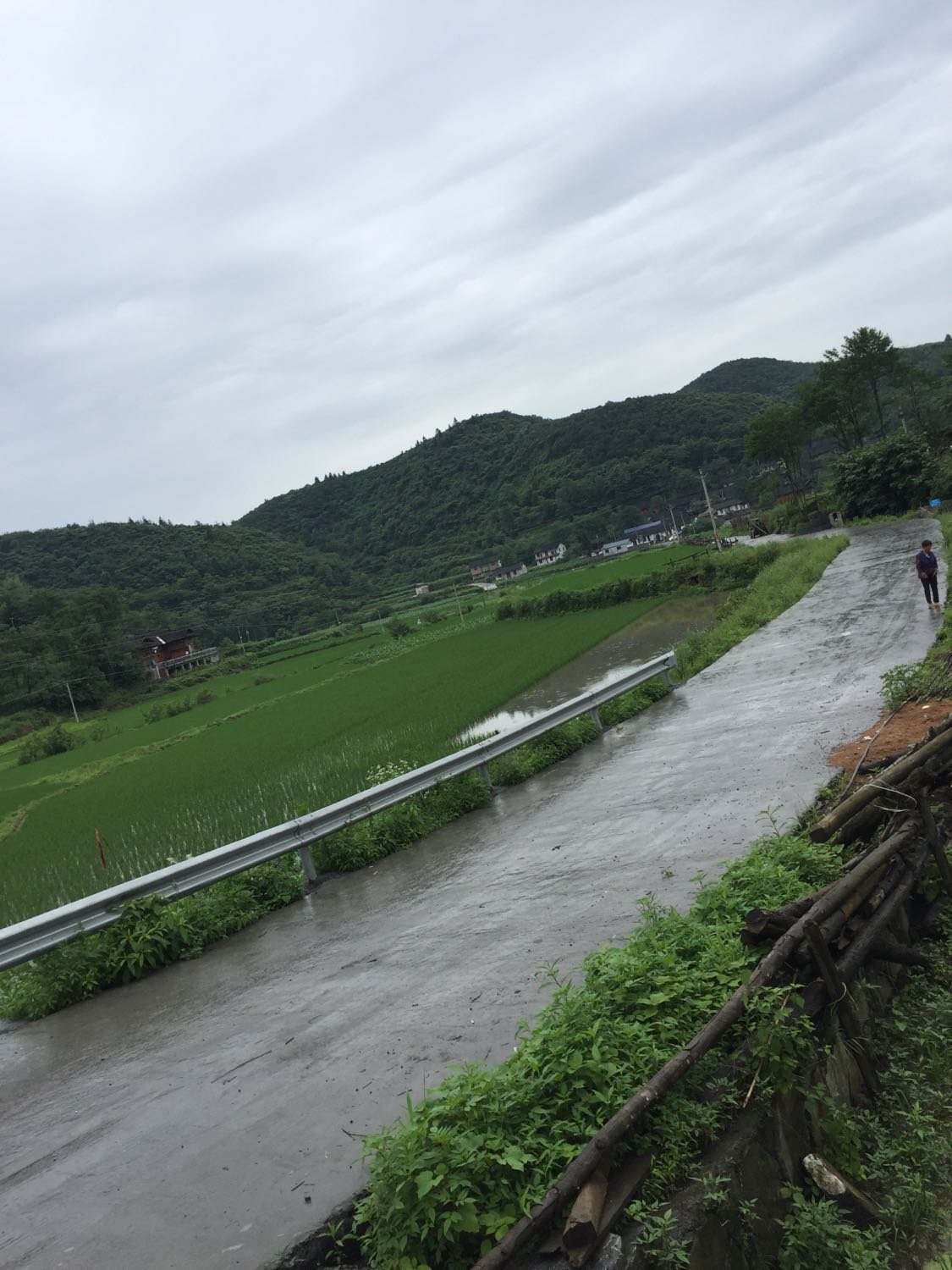 下目村委会天气预报更新通知