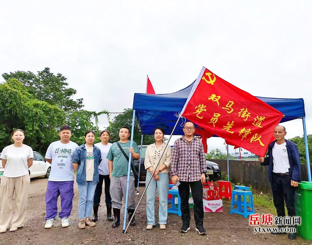 双马镇最新交通动态报道