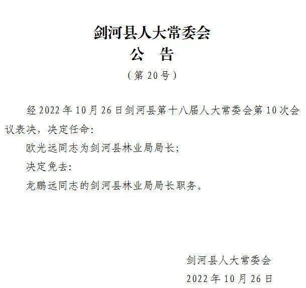 刘寨柯村委会最新人事任命，推动村级治理再上新台阶