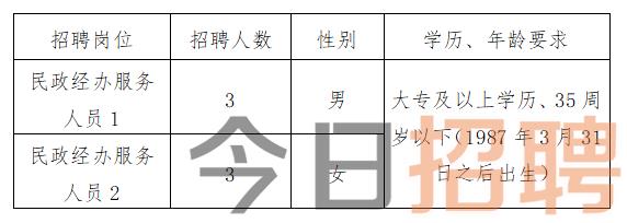 高邑县民政局最新招聘信息详解