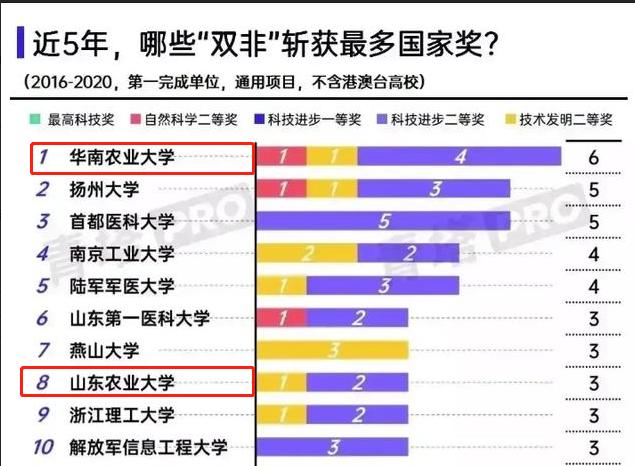 山东双一流高校最新动态，教育新篇章蓬勃发展