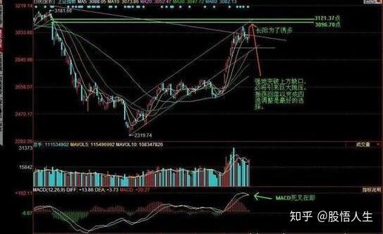 2024年澳门新版免费资料,高度协调策略执行_潮流版3.739