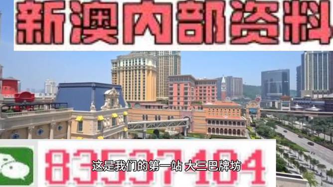 2024新澳门正版精准免费大全,诠释解析落实_Android256.183