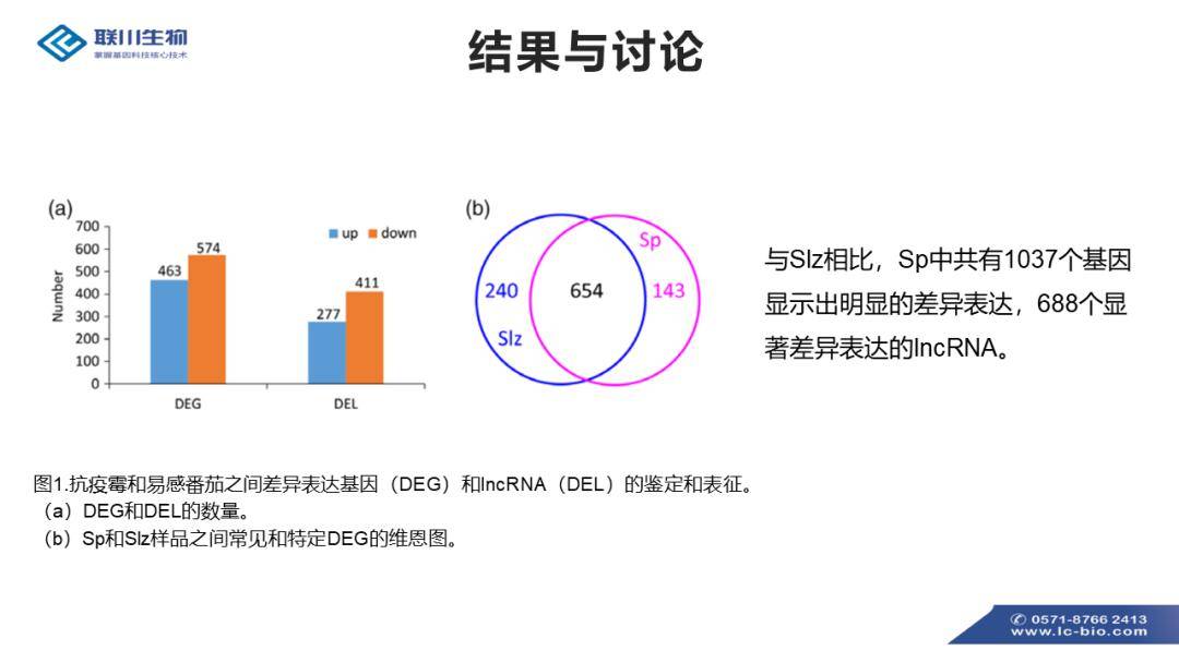 2024新澳最快最新资料,调整方案执行细节_win305.210