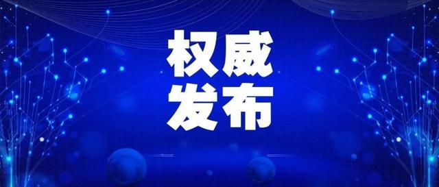 2024王中王新澳门,精细化策略落实探讨_win305.210