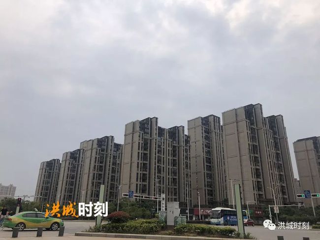 九龙湖最新房价概览，市场趋势分析与购房指南