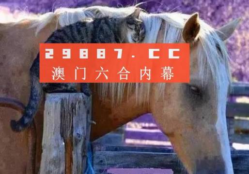 澳门必中一肖一码四不像,动态词语解释落实_豪华版8.713