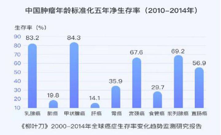 澳门彩资料查询,现状分析说明_DX版42.941