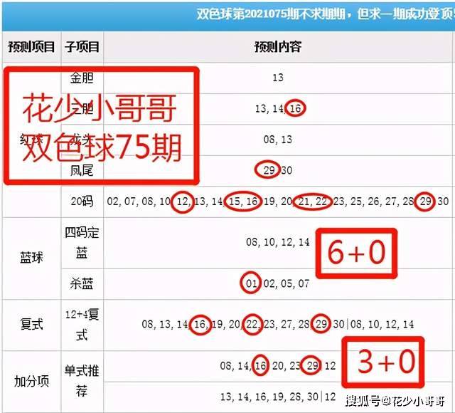 白小姐今晚特马期期准六,实践分析解析说明_Nexus59.247