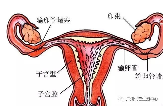 2024年11月3日 第25页