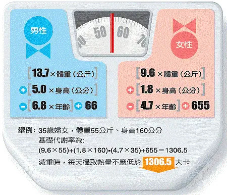 澳门正版免费资料大全新闻,全面设计实施策略_Z61.991