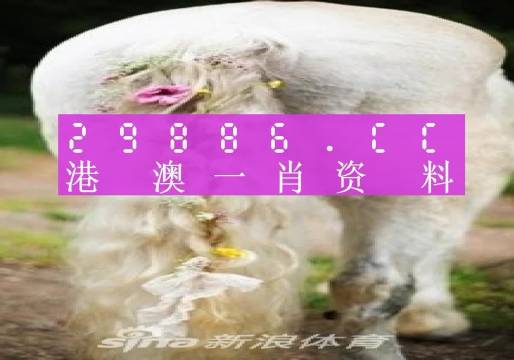 澳门必中一肖一码四不像,高效实施方法解析_复古版12.440