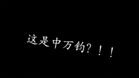 2024年11月6日 第3页