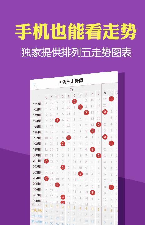 2024新澳正版免费资料大全,实地考察分析_bundle12.668