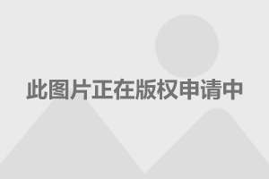 谢娜试管怀孕最新动态，勇气与希望的孕育之旅