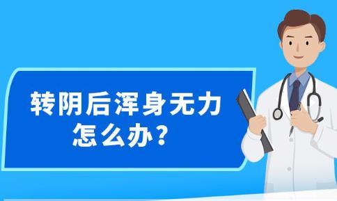 新澳精准资料免费提供网站,全部解答解释落实_投资版93.331