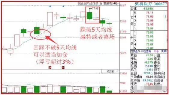 新澳门天天彩期期精准,实地评估策略_DX版64.747