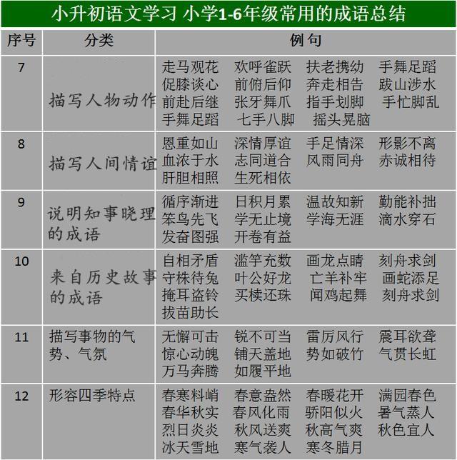 2024澳门天天开好彩,收益成语分析落实_升级版9.123