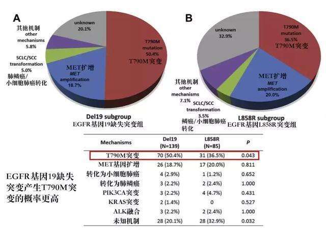 奥门特马特资料,专业解析说明_潮流版15.767