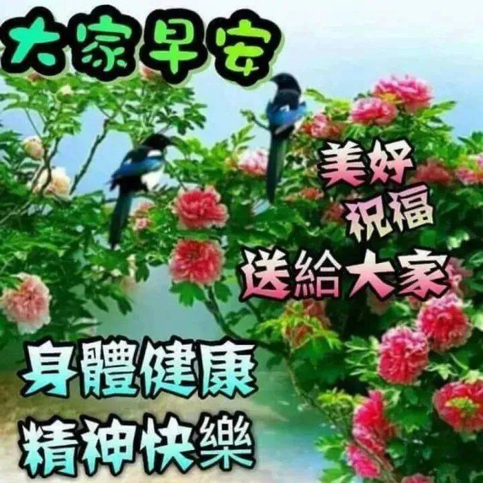 大家早上好图片背后的文化意义，探究早晨问候的文化内涵