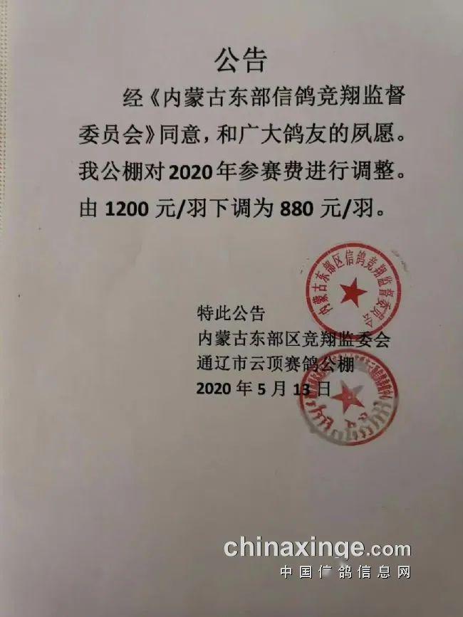 新疆大爱公棚最新公告揭示未来发展规划与更新动态