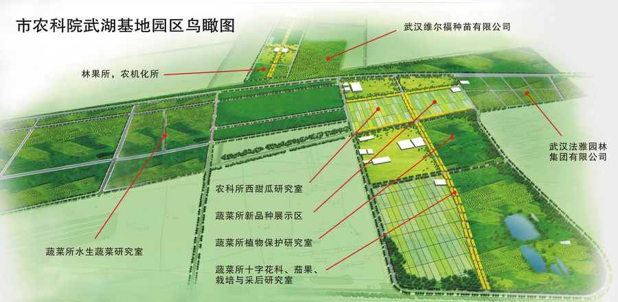 前进区农业农村局最新发展规划概览