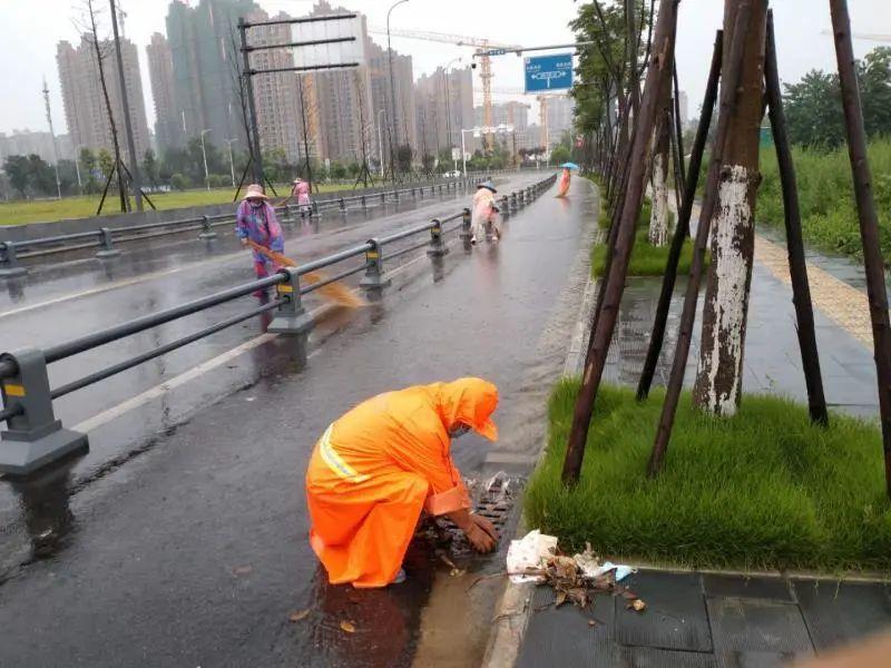 大邑县公路运输管理事业单位发展规划概览