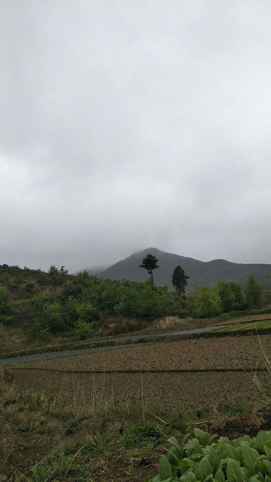 石牙乡天气预报更新通知