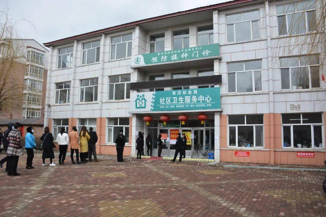 昂昂溪区计生委最新项目进展及其社会影响分析